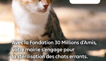 fondation